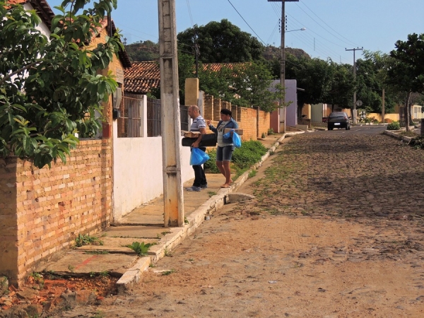 prefeitura realiza mutirão contra a Dengue - Imagem 3
