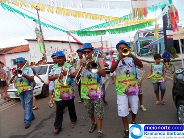 Carnaval 2014: Instituto Dom Quixote realiza belo desfile - Imagem 11