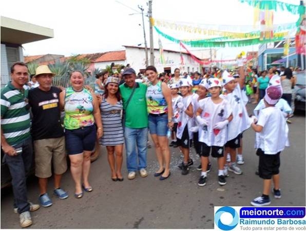 Carnaval 2014: Instituto Dom Quixote realiza belo desfile - Imagem 9