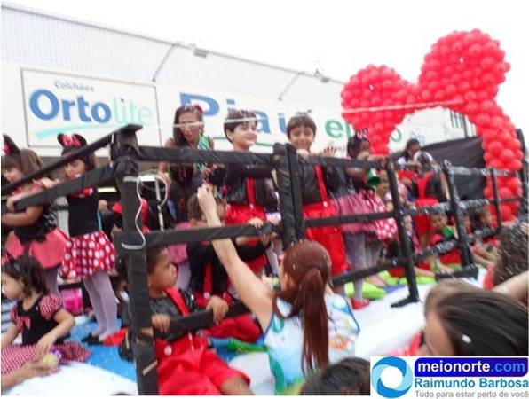 Carnaval 2014: Instituto Dom Quixote realiza belo desfile - Imagem 4