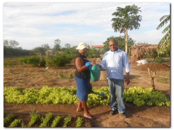 Horta Comunitária de Inhuma recebe incentivo da agricultura familiar - Imagem 8