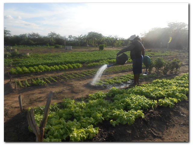Horta Comunitária de Inhuma recebe incentivo da agricultura familiar