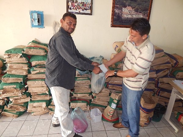 Agricultores de Lagoinha recebem sementes Milho e Feijão - Imagem 2