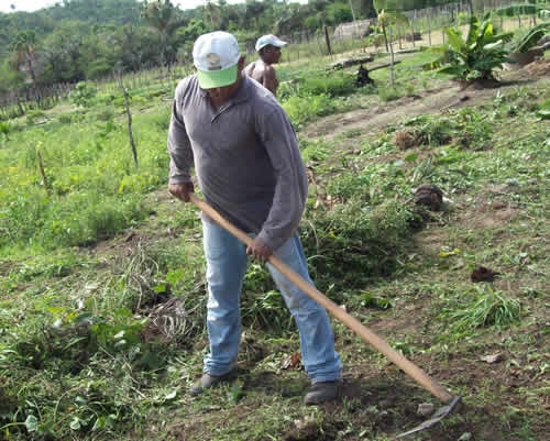 Assentamento Mororó recebe incentivo da Secretaria de Agricultura de Porto - Imagem 8