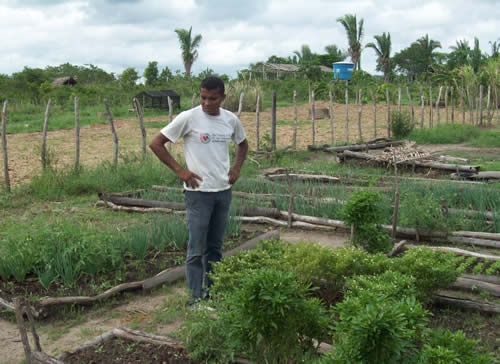 Assentamento Mororó recebe incentivo da Secretaria de Agricultura de Porto - Imagem 3