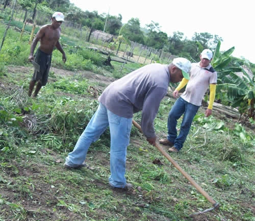Assentamento Mororó recebe incentivo da Secretaria de Agricultura de Porto - Imagem 9