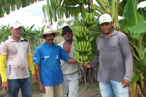 Assentamento Mororó recebe incentivo da Secretaria de Agricultura de Porto - Imagem 6
