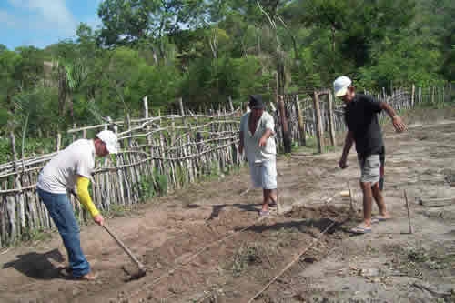 Assentamento Mororó recebe incentivo da Secretaria de Agricultura de Porto - Imagem 10