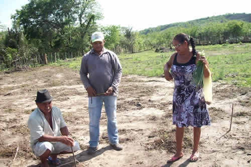 Assentamento Mororó recebe incentivo da Secretaria de Agricultura de Porto - Imagem 16