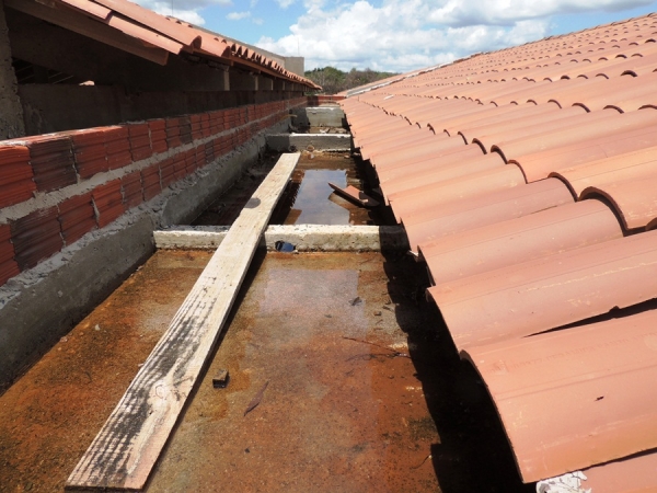 Agentes de Endemias descobrem grande criadouro do Mosquito Aedes Aegypti - Imagem 3