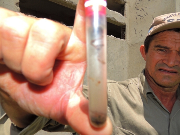 Agentes de Endemias descobrem grande criadouro do Mosquito Aedes Aegypti - Imagem 6