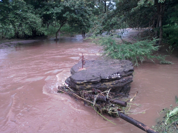 Elesbão Veloso tem registrado fortes chuvas  - Imagem 1