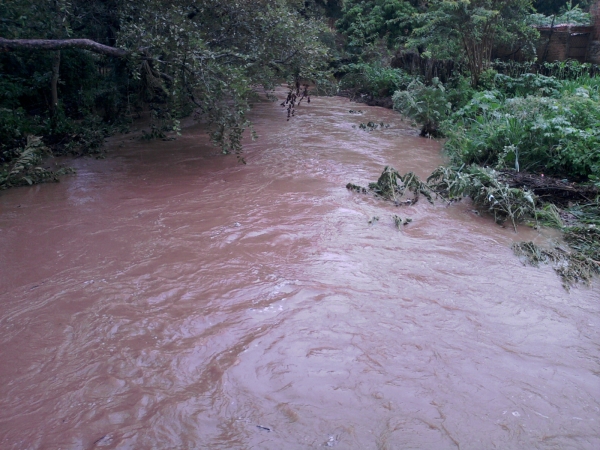 Elesbão Veloso tem registrado fortes chuvas  - Imagem 3