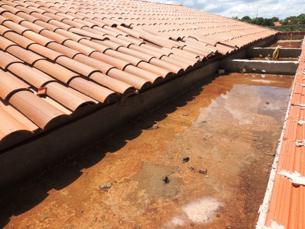 Agentes de Endemias descobrem grande criadouro do Mosquito Aedes Aegypti - Imagem 1