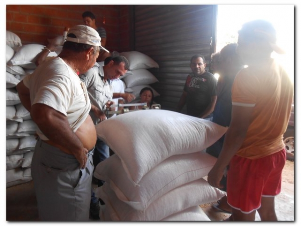 Secretaria Municipal de Agricultura em parceria com a CONAB distribui 106,5 toneladas de Milho para pecuaristas de Inhuma.  - Imagem 3