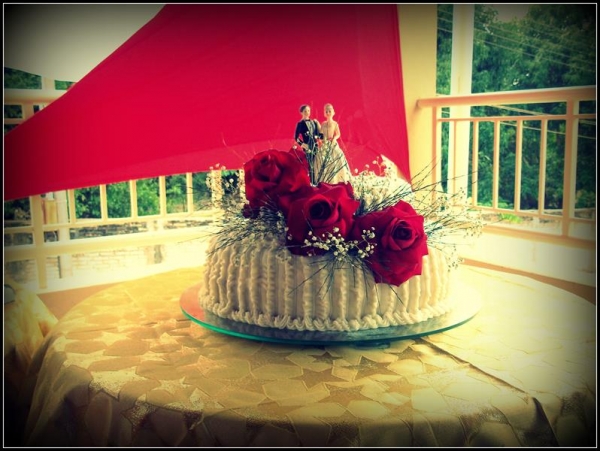 Franguitos de cara nova! - Imagem 4