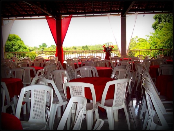 Franguitos de cara nova! - Imagem 13