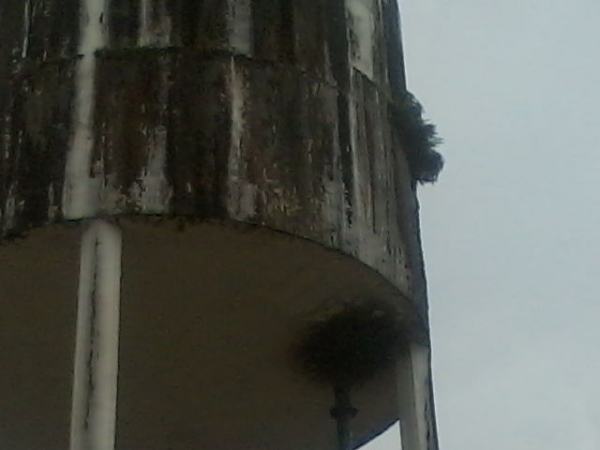 Moradores da Rua Floriano Peixoto se preocupam com estado de conservação da caixa dágua da Agespisa  - Imagem 4