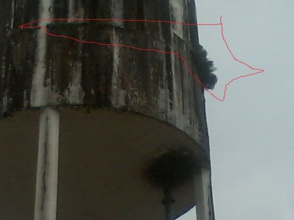 Moradores da Rua Floriano Peixoto se preocupam com estado de conservação da caixa dágua da Agespisa  - Imagem 8