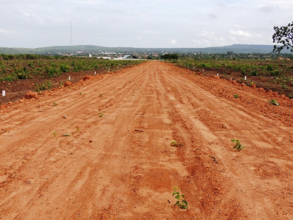 Loteamento Reserva dos Pinheiros vendas de lotes no local - Imagem 7