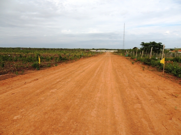 Loteamento Reserva dos Pinheiros vendas de lotes no local - Imagem 2