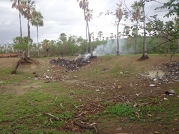 Matadouro público vira lixão a céu aberto. - Imagem 2
