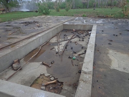 Matadouro público vira lixão a céu aberto. - Imagem 1