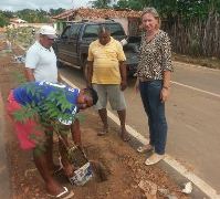 Revitalização prever canteiros e praça na Avenida Porto Alegre