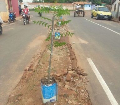 Revitalização prever canteiros e praça na Avenida Porto Alegre - Imagem 1