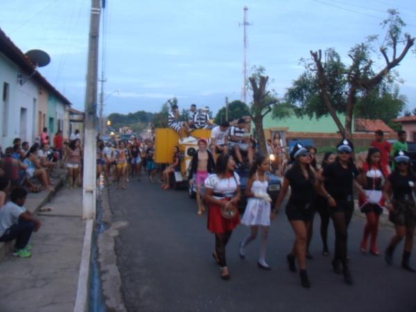 Carnaval de Altos começa com milhares de pessoas no corso 2014 - Imagem 3