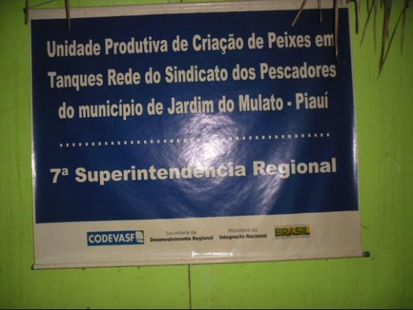 Associação de pescadores de jardim do Mulato realizam I despesca da criação em Tanques Rede - Imagem 1