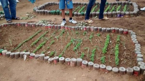 Escola Municipal Liberato Vieira Começa aplicar a Educação Contextualizada com o Semiárido  - Imagem 19