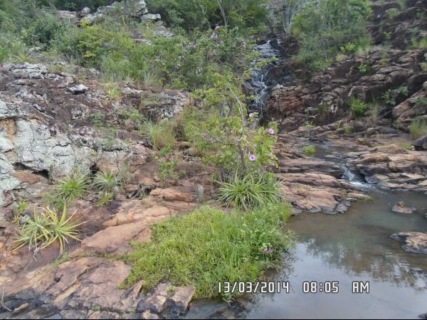 Semana da água: Entidades se unem para diagnosticar impactos ambientais no Rio Corrente - Imagem 2