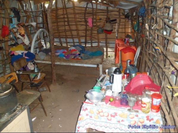 Colônia do Piauí: Casal vive em condições precárias morando em casa de papelão - Imagem 4
