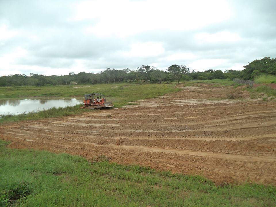 Prefeito Reginaldo manda limpar açude e constrói rua, Buriti do Castelo