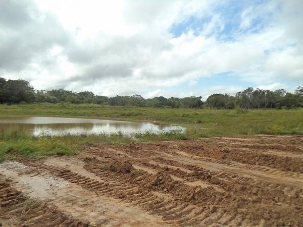 Prefeito Reginaldo manda limpar açude e constrói rua, Buriti do Castelo - Imagem 9
