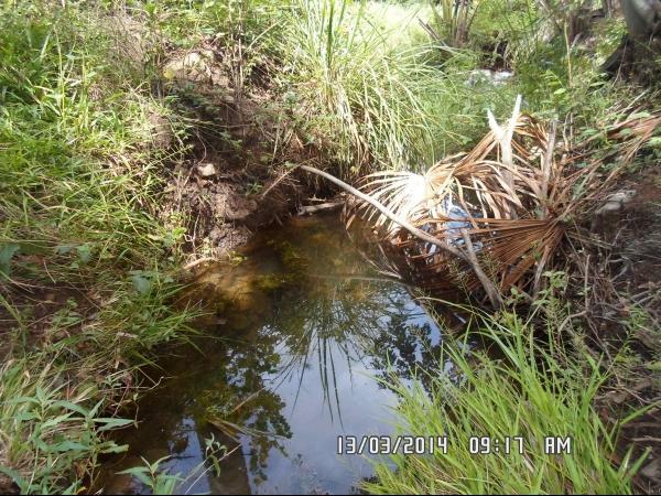 Semana da água: Entidades se unem para diagnosticar impactos ambientais no Rio Corrente - Imagem 6