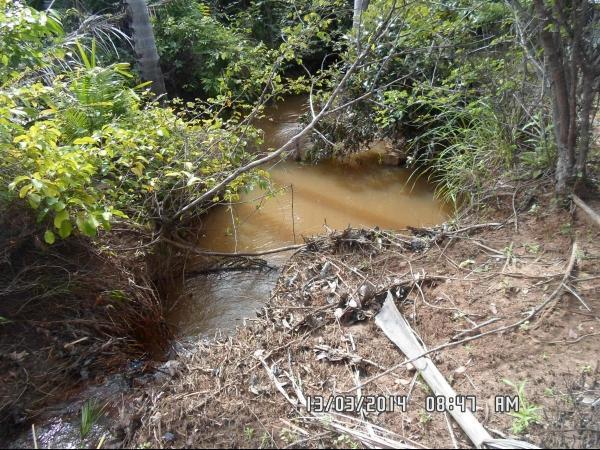 Semana da água: Entidades se unem para diagnosticar impactos ambientais no Rio Corrente - Imagem 3