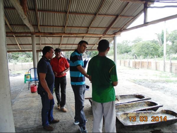 TV Antares faz reportagem e engenho de rapadura em Boa Hora - Imagem 17