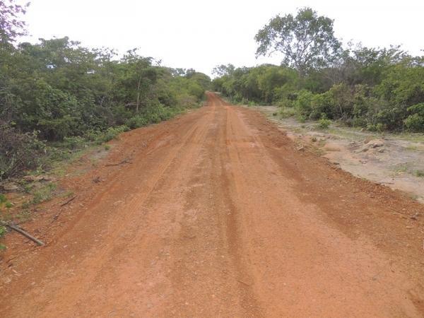 Programa Inclusão e Desenvolvimento chega ao povoado Lapa - Imagem 113