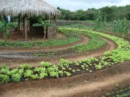  CONSELHO TERRITÓRIAL DO VALE DO CANINDÉ SE REUNIRAM EM SANTA ROSA - Imagem 4