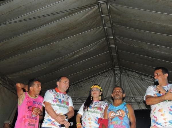 Confira os melhores cliques do 1ª dia de carnaval 2014 em Curralinhos  - Imagem 14