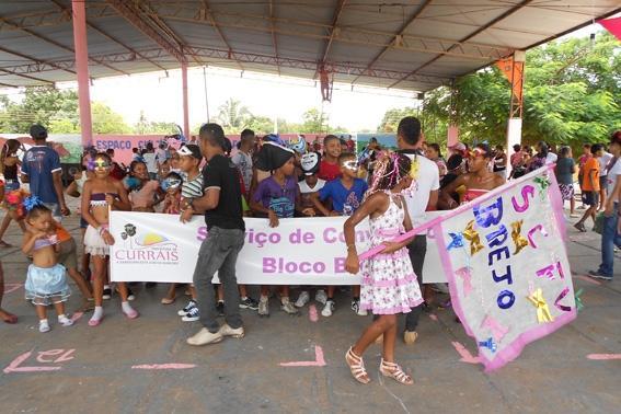 CRAS REALISA FOLIA 2014 EM CURRAIS - Imagem 25