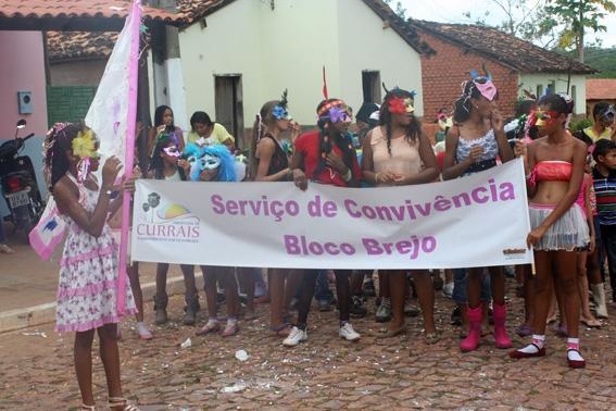 CRAS REALISA FOLIA 2014 EM CURRAIS - Imagem 14