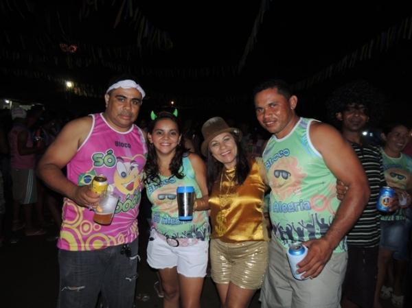 Confira os melhores cliques do 1ª dia de carnaval 2014 em Curralinhos  - Imagem 4