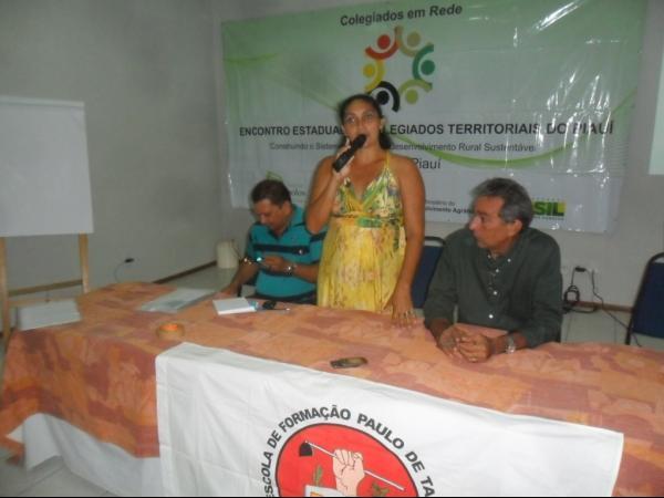 Rede de Colegiados Territoriais se reúnem em Teresina - Imagem 1