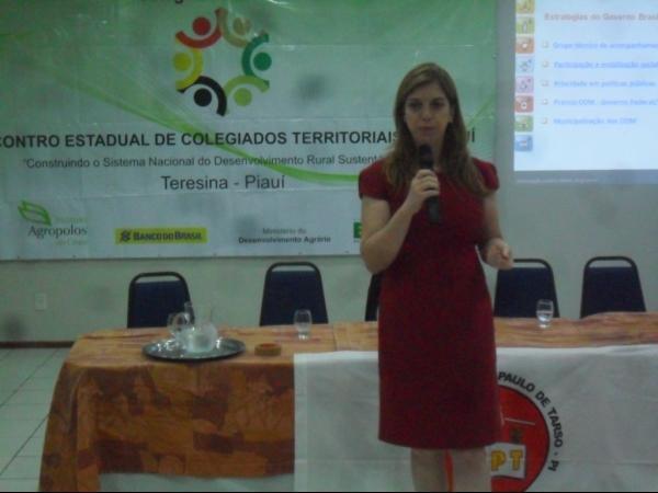Rede de Colegiados Territoriais se reúnem em Teresina - Imagem 2