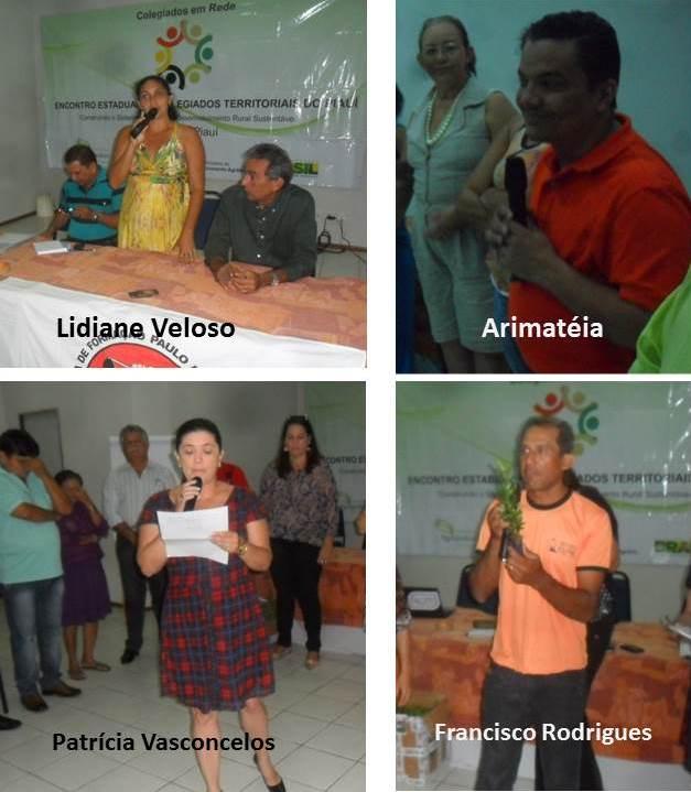 Rede de Colegiados Territoriais elegem os Secretários da Executiva Estadual