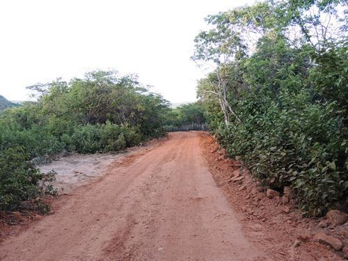 Prefeitura de Pedro II realiza melhoria em estradas