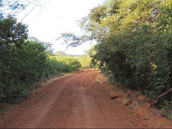 Prefeitura de Pedro II realiza melhoria em estradas - Imagem 4